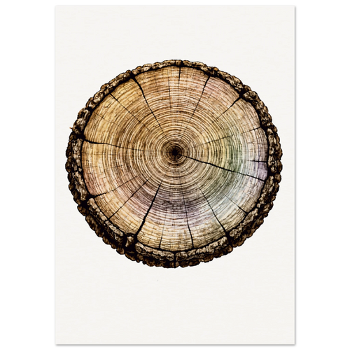 629b4475-2987-46de-9ad9-29512756c2ab